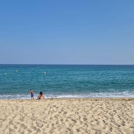 Clim Jardin Piscine Palasca (Corsica)